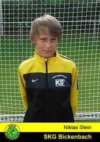 Niklas Stein